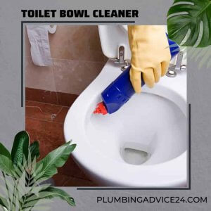 Toilet Bowl Cleaner